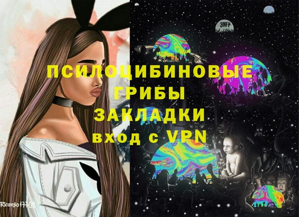 a pvp Верея